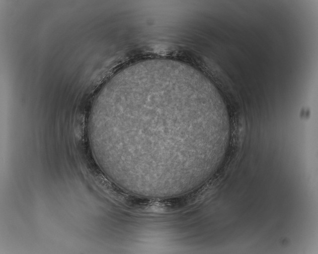 X0000114540656200911091134