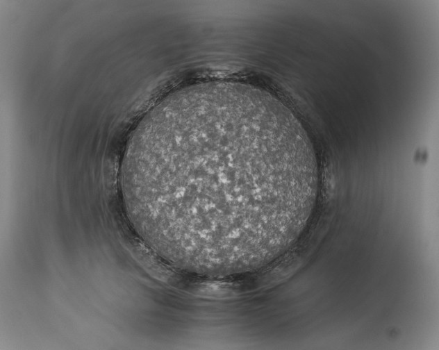 X0000114540657200911091134