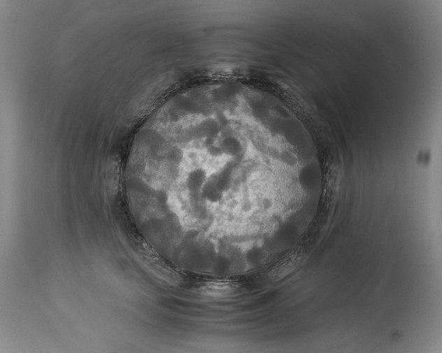 X0000114540659200911091134