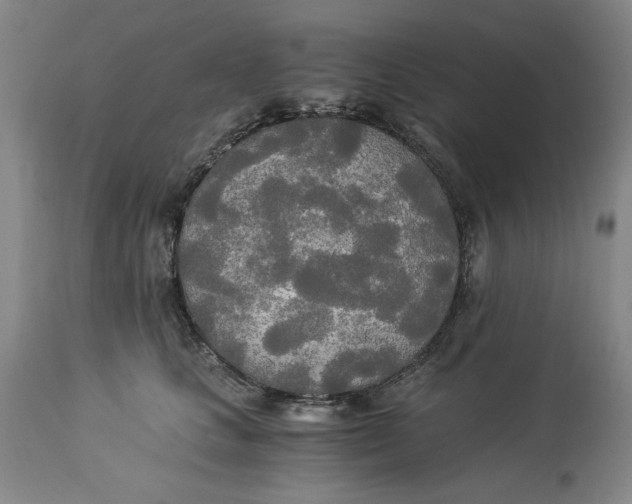 X0000114540661200911091134