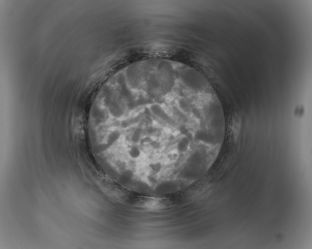 X0000114540663200911091134