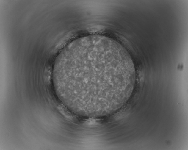 X0000114540664200911091134