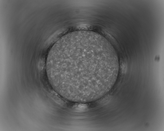 X0000114540665200911091134