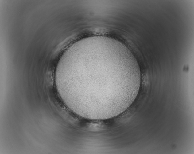 X0000114540666200911091134