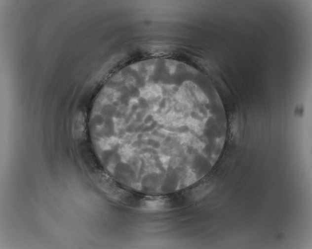 X0000114540667200911091134