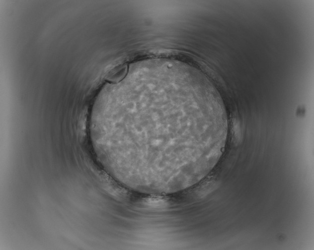 X0000114540668200911091134