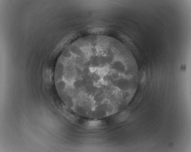 X0000114540669200911091134