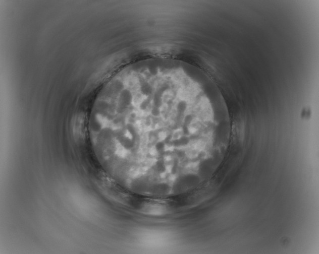 X0000114540671200911091134