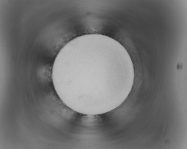 X0000114540672200911091134