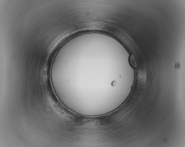 X0000114540676200911091133