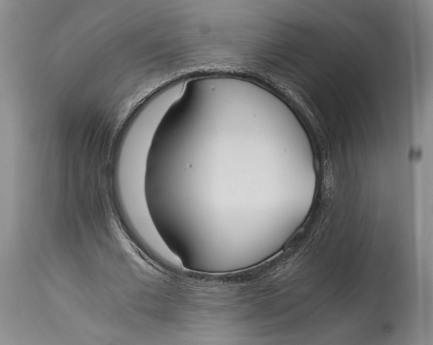 X0000114540677200911091133