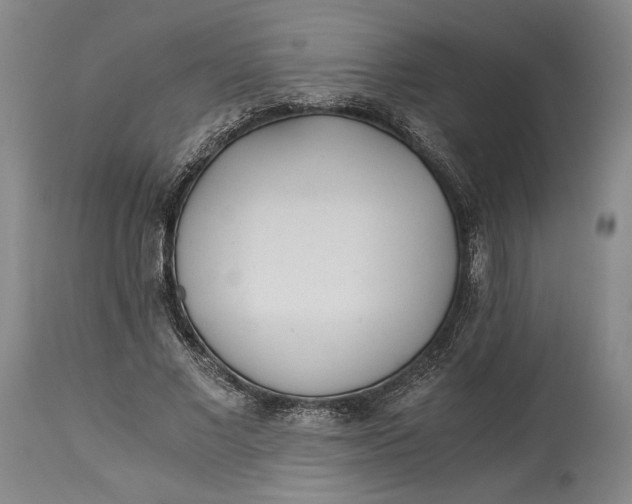 X0000114540685200911091133