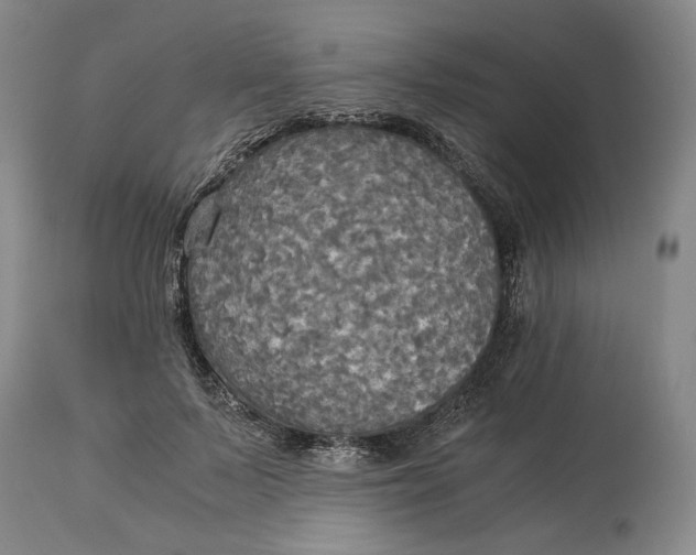 X0000114540695200911091133