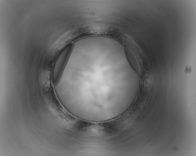 X0000114540696200911091133