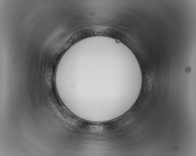 X0000114540698200911091133