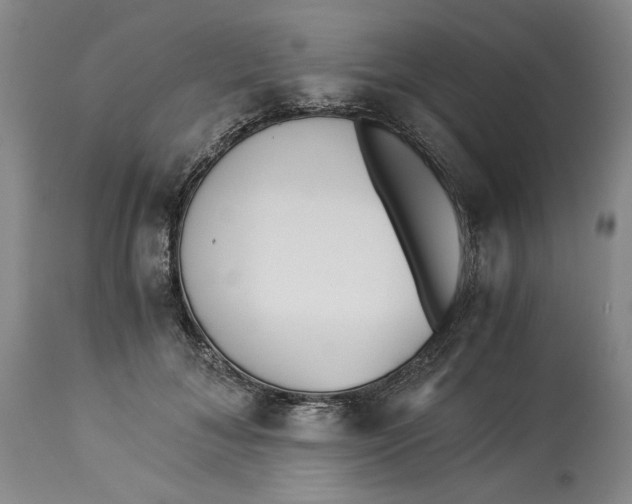 X0000114540700200911091133