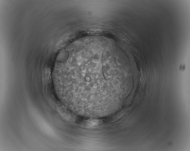 X0000114540711200911091133