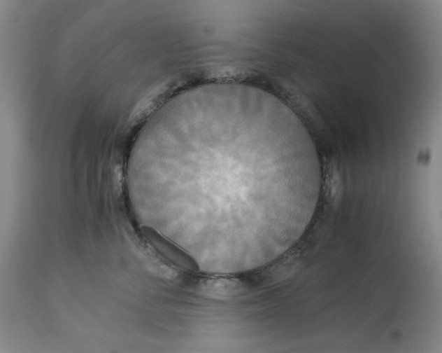 X0000114540716200911091133