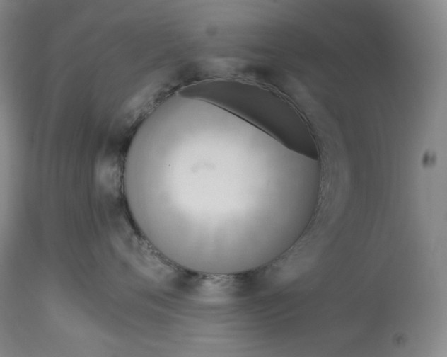 X0000114540720200911091133