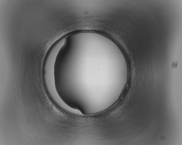 X0000114540721200911091132