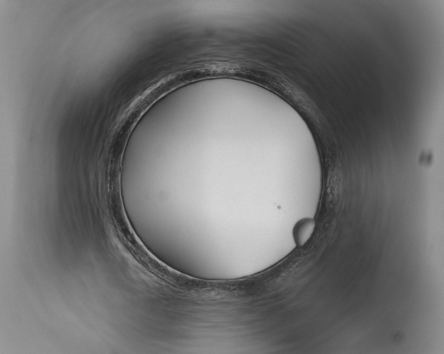 X0000114540722200911091132