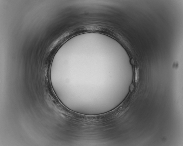 X0000114540723200911091132