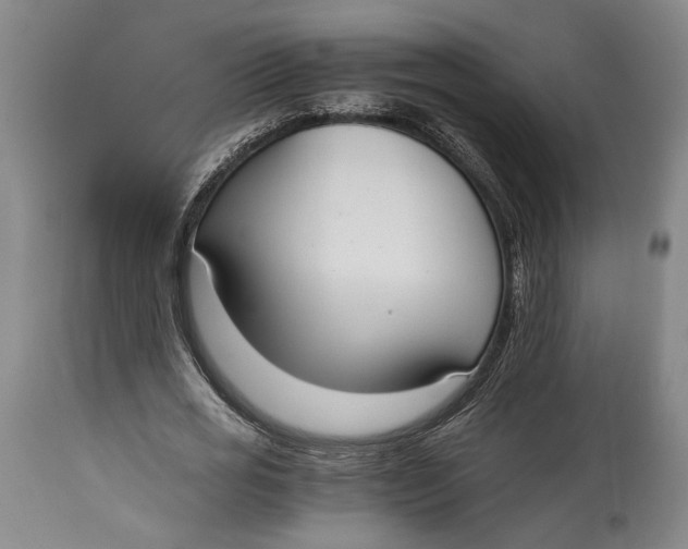 X0000114540725200911091132