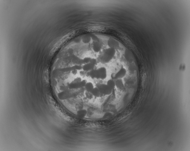 X0000114540729200911091132