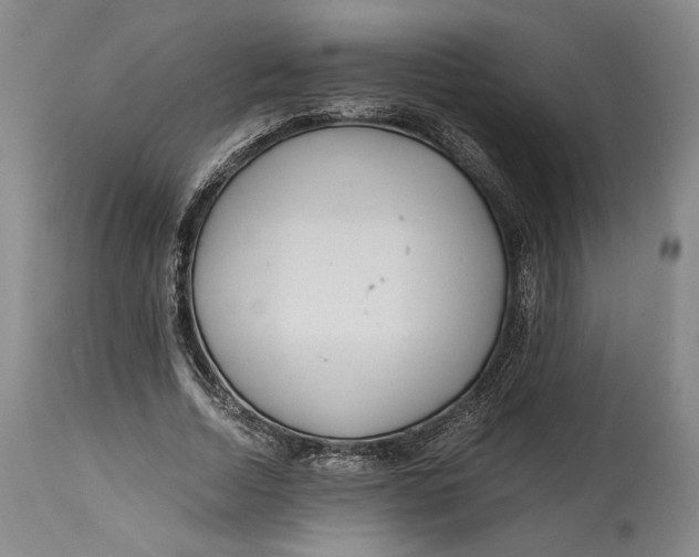 X0000114540730200911091132