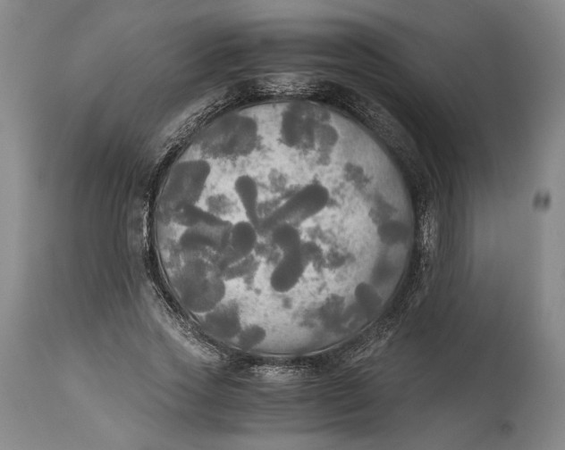 X0000114540733200911091132