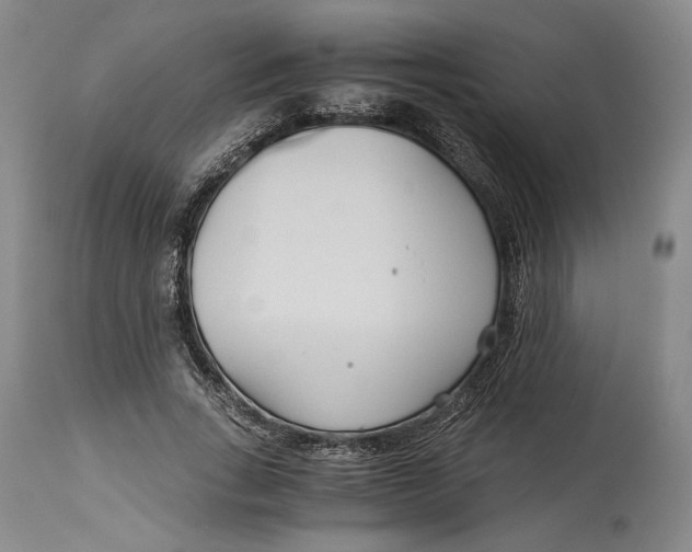 X0000114540735200911091132