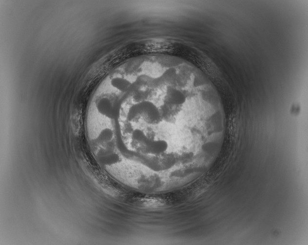 X0000114540741200911091132