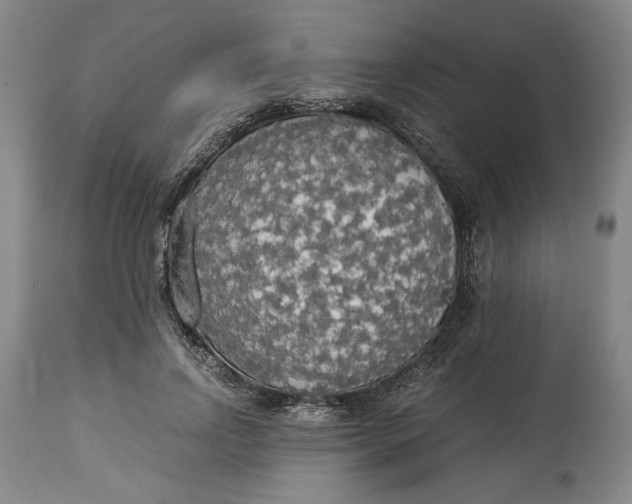 X0000114540742200911091132