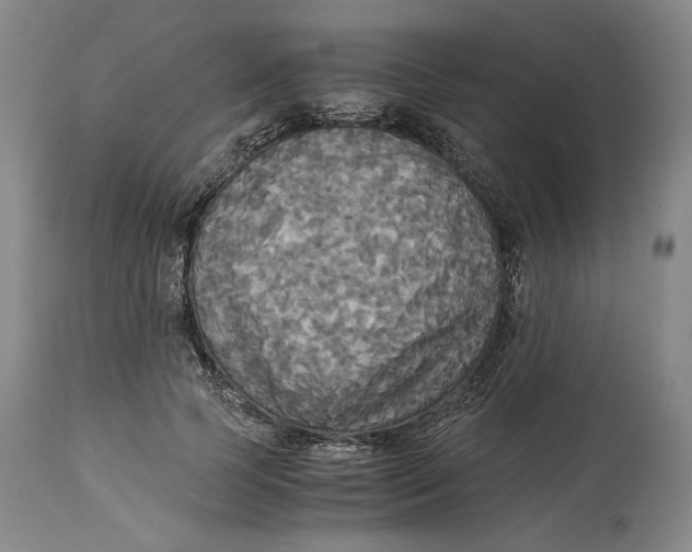 X0000114540745200911091132