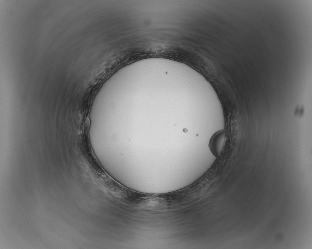 X0000114540750200911091132