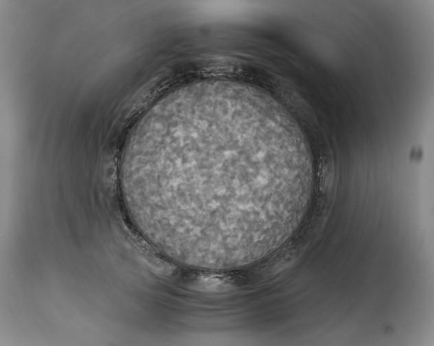 X0000114540753200911091132