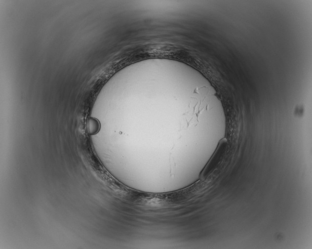 X0000114540755200911091132