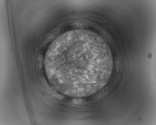 X0000114540757200911091132