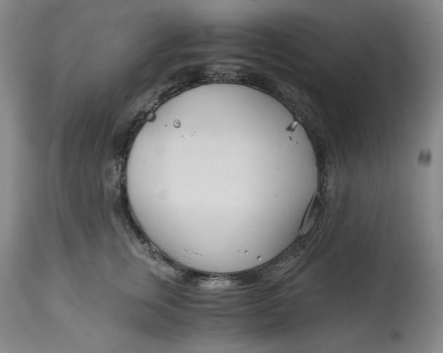 X0000114540759200911091132