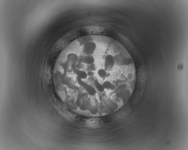 X0000114540761200911091132