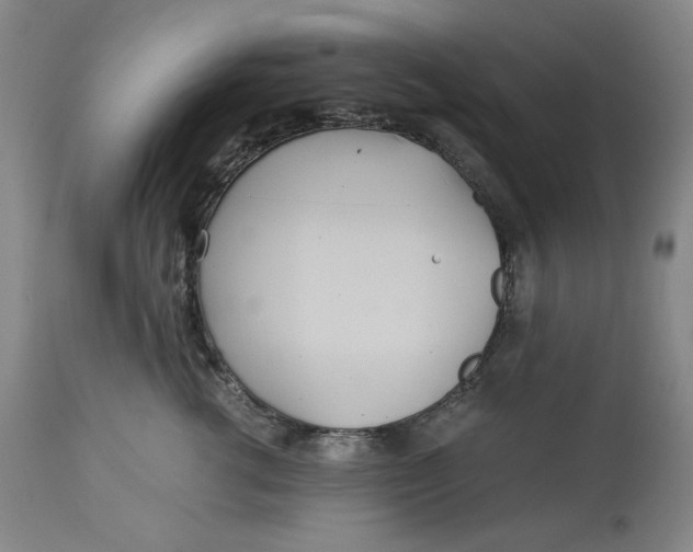 X0000114540762200911091132