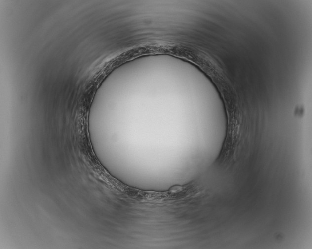 X0000114540773200911091132