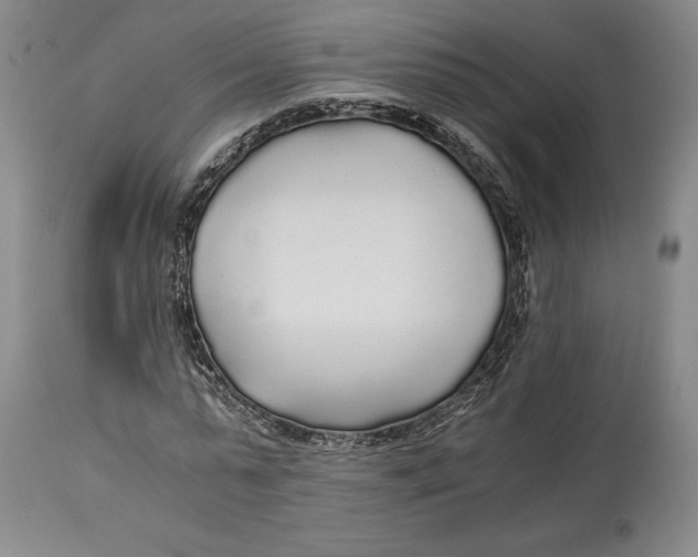 X0000114540775200911091132