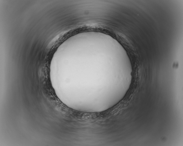 X0000114540776200911091132