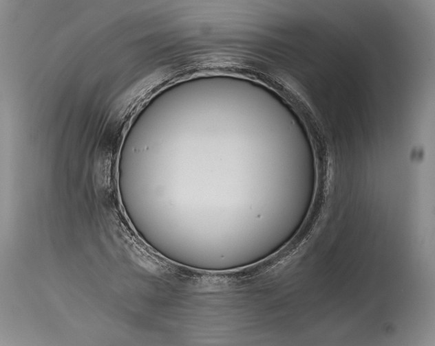 X0000114540777200911091132