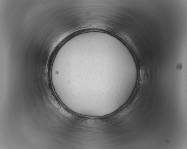 X0000114540780200911091132