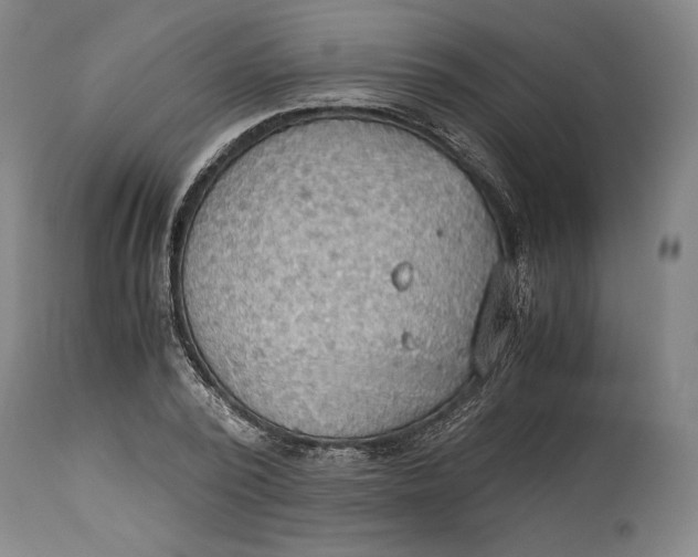 X0000114540784200911091132