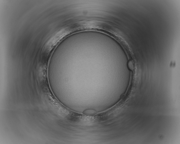 X0000114540785200911091132