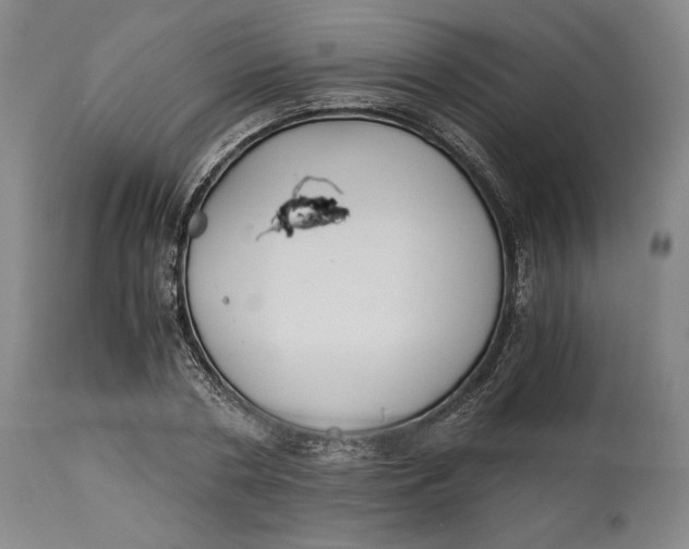 X0000114540786200911091131