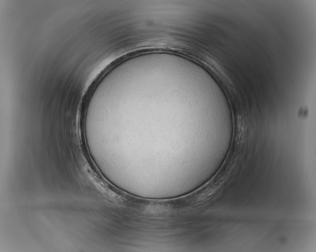 X0000114540788200911091131